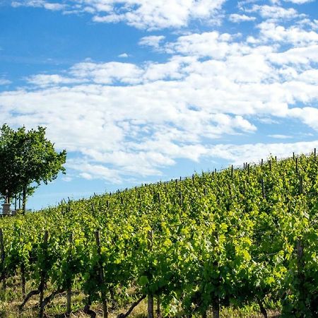 Ferienwohnung Weingut Knauer Dettelbach Exterior foto